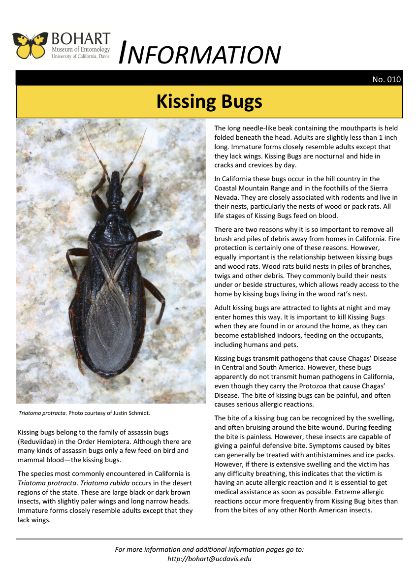 Kissing Bugs Bohart Museum of Entomology